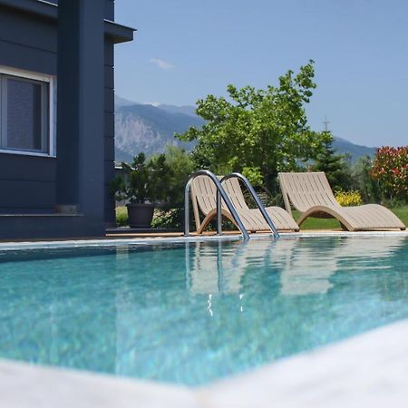 Zeusplace Pool Villa Olympus Riviera Litochoro Exterior foto